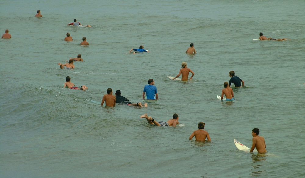 (04) Dscf3844 (bushfish - morning surf 1).jpg   (1000x584)   202 Kb                                    Click to display next picture
